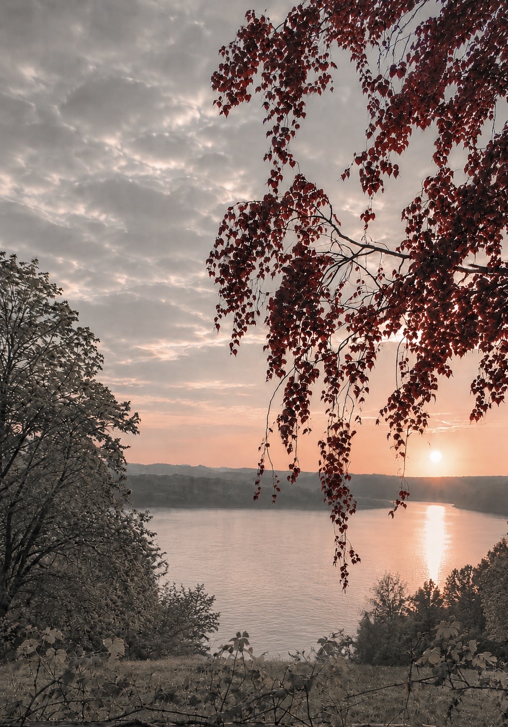 Lake View