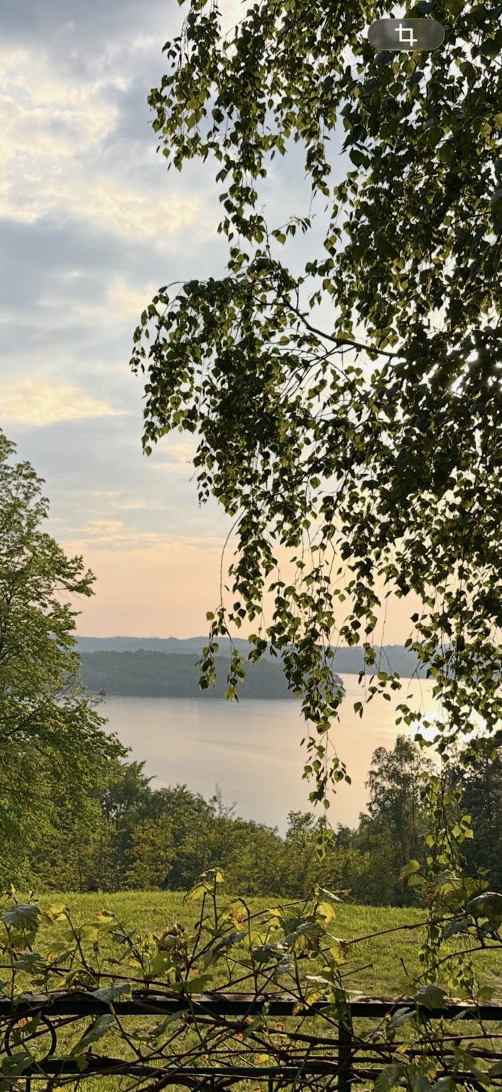 Natural Surroundings