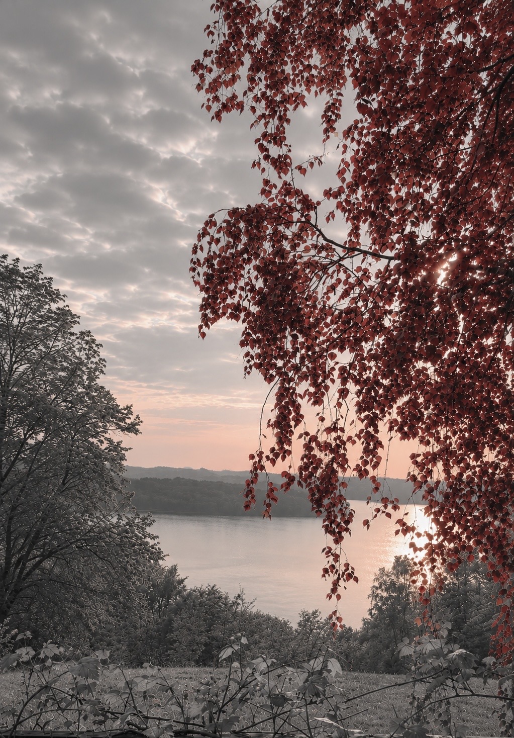 Sunset View